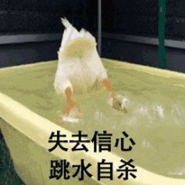 【抖音網紅比心鴨子表情包】比心鴨子高清無水印圖片分享