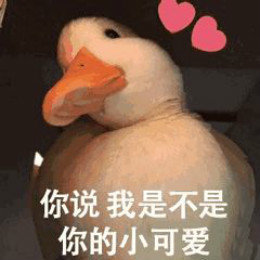 【抖音網紅比心鴨子表情包】比心鴨子高清無水印圖片分享