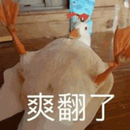 【抖音網紅比心鴨子表情包】比心鴨子高清無水印圖片分享