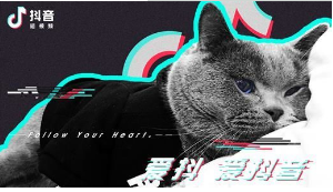 抖音六眼飛魚出自哪里？抖音六眼飛魚來源出處介紹