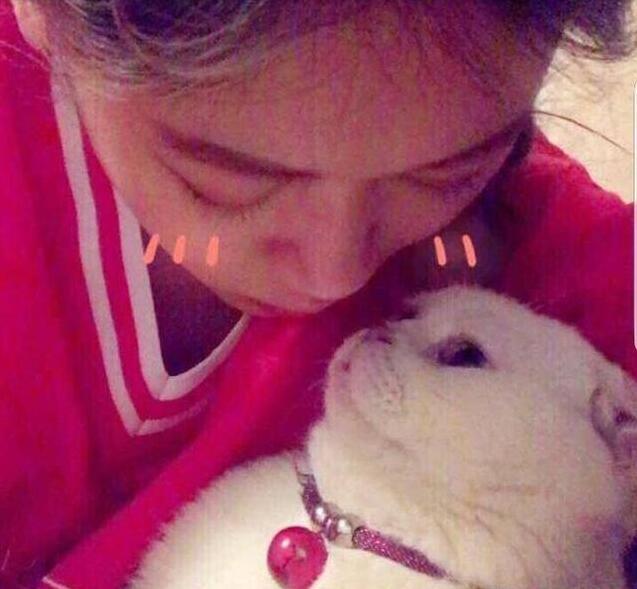 抖音二豆走丟了是真的嗎 二豆走丟來是怎么回事