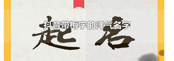 抖音帶梅字的洋氣名字