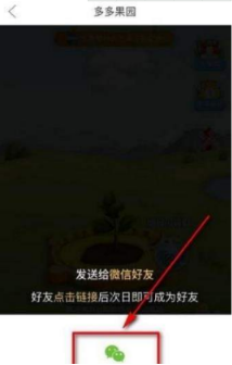 多多果園要怎么添加好友？多多果園添加微信好友教程分享