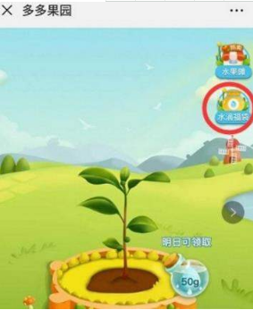 拼多多的多多果園水果郵寄要錢嗎？多多果園水果免費(fèi)郵寄嗎？