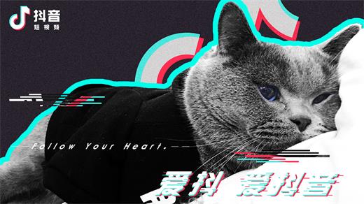 抖音喝過最烈的酒才顯得我悲傷是什么歌 歌名歌曲分享