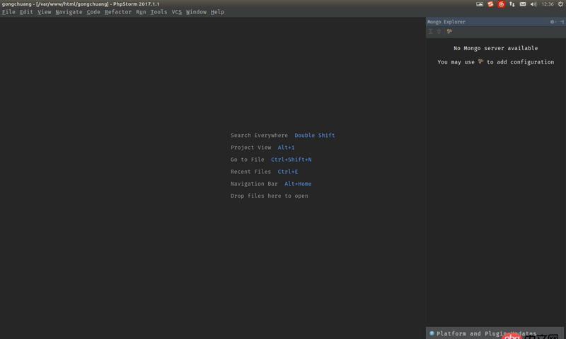node.js - 如何在webstorm中啟動并連接mongodb數據庫呢?