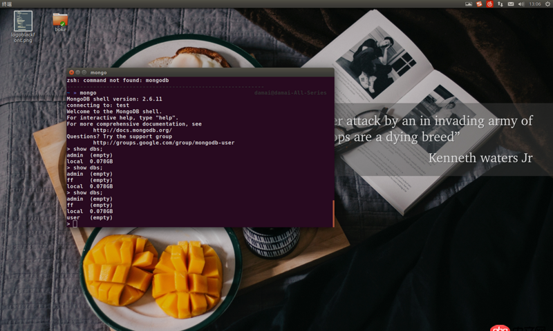 node.js - 如何在webstorm中啟動并連接mongodb數據庫呢?