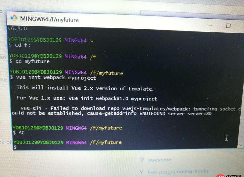 node.js - vue-cli構建報錯。。。生成不了模板，求解~！！