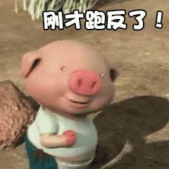 微信小豬跑步動(dòng)態(tài)圖哪里找 一直在奔跑的小豬GIF圖分享