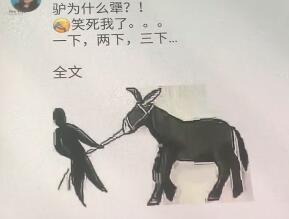 朋友圈驢為什么這么犟搞笑圖分享【高清無(wú)水印】