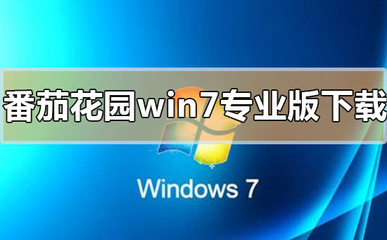 番茄花園win7專業版系統在哪下載