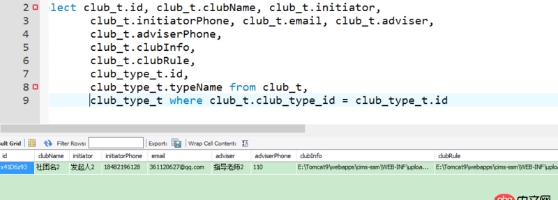 java - Mybatis查詢數(shù)據(jù)庫時(shí)出現(xiàn)查詢getInt()的錯(cuò)誤
