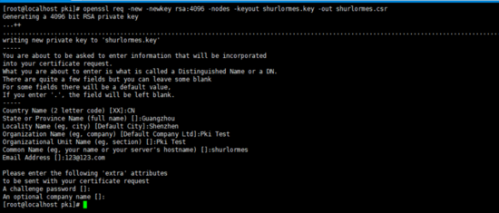 Spring Boot 實現https ssl免密登錄(X.509 pki登錄)