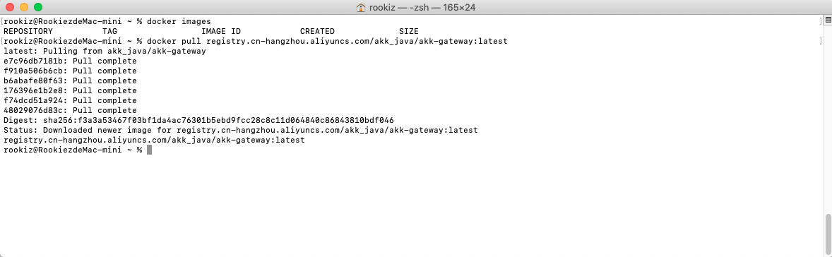 Spring Cloud中使用jib進(jìn)行docker部署的步驟詳解