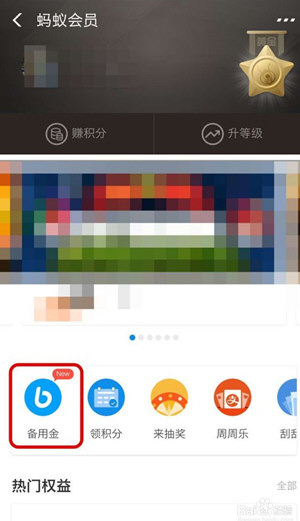 支付寶備用金在哪看 500元備用金入口位置一覽