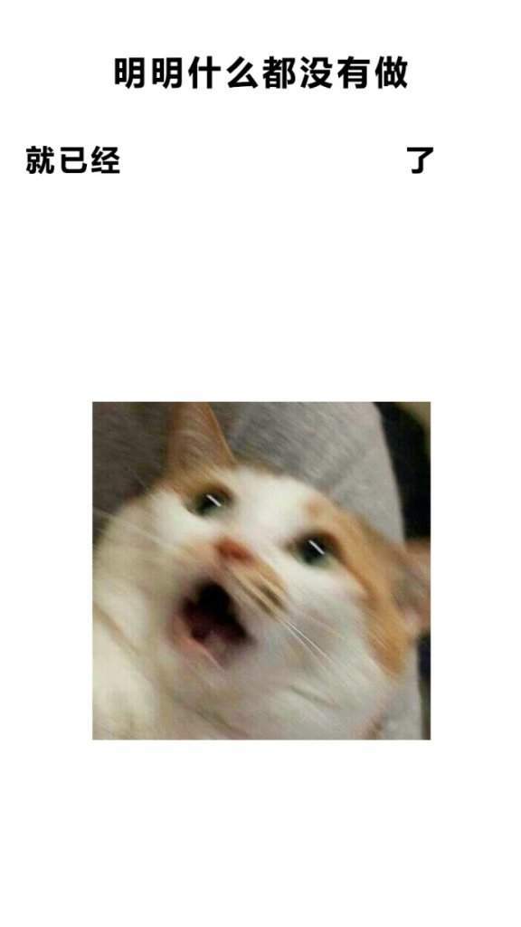 【抖音明明什么都沒做就已經】無水印壁紙表情包大全