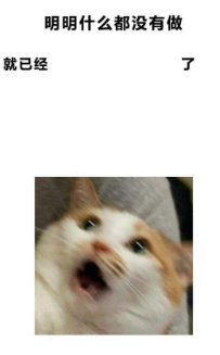 抖音明明什么都沒做就已經(jīng)表情包高清無水印圖片完整版