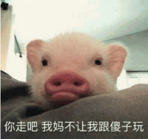 抖音你走吧我媽不讓我跟傻子玩 貓咪搞怪高清表情包分享