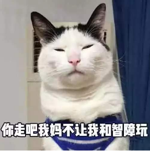 抖音你走吧我媽不讓我跟傻子玩 貓咪搞怪高清表情包分享