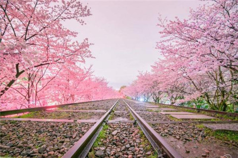 抖音三個十分鐘好短的十分鐘是什么歌 歌詞歌曲分享