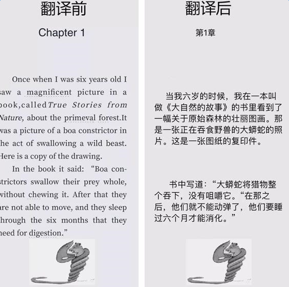 微信掃一掃如何翻譯一整頁的英文_翻譯一整頁的英文設置教程