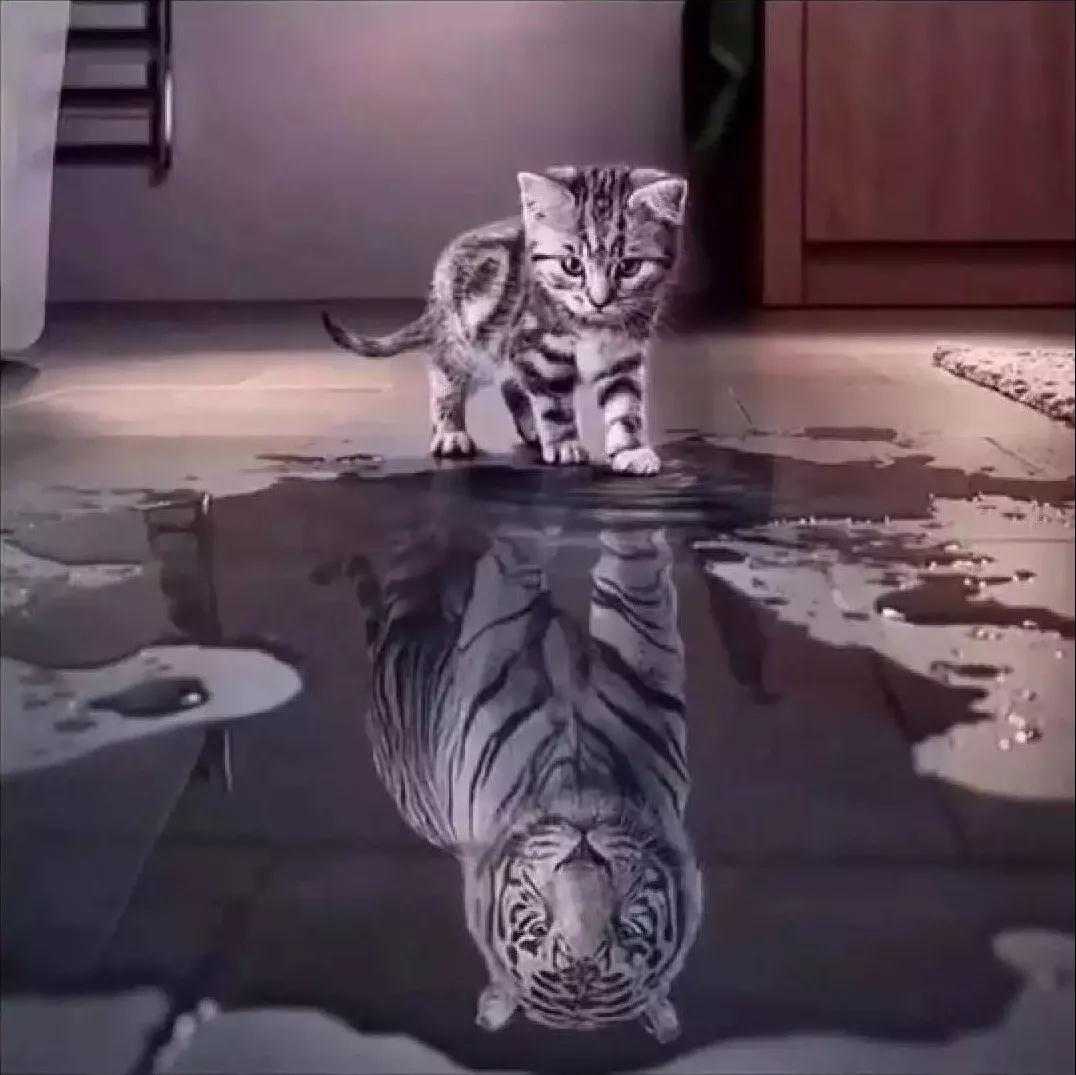 抖音內心強大是什么梗_抖音內心強大圖片分享【圖】