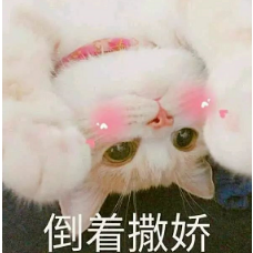 抖音喵喵喵貓咪表情包高清無水印圖片分享!