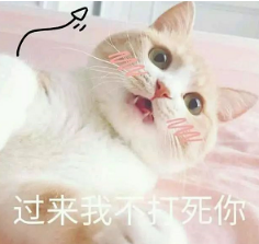 抖音喵喵喵貓咪表情包高清無水印圖片分享!