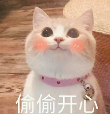 抖音喵喵喵貓咪表情包高清無水印圖片分享!