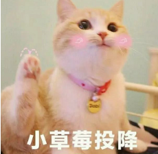 抖音喵喵喵貓咪表情包高清無水印圖片分享!