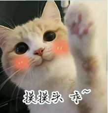 抖音喵喵喵貓咪表情包高清無水印圖片分享!