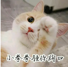 抖音喵喵喵貓咪表情包高清無水印圖片分享!