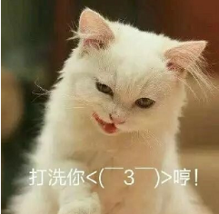 抖音喵喵喵貓咪表情包高清無水印圖片分享!