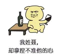 抖音姓氏撩人套路大全 我姓x卻XXXX體表情包分享