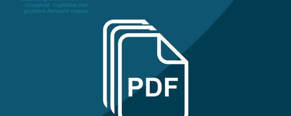 pdf是什么 pdf怎么轉(zhuǎn)換成word