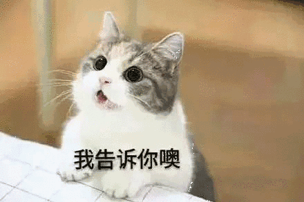 【抖音貓咪哄老公】超萌哄老公無水印表情包