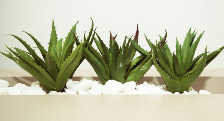 抖音95年為什么那么火 95年的組織了解一下