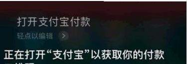 支付寶語(yǔ)音支付怎么使用_支付寶使用語(yǔ)音支付教程【圖】
