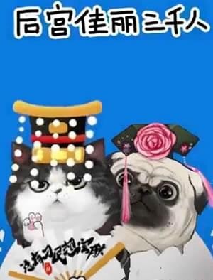 抖音我們喵星人就是辣么拽是什么歌 我們喵星人就是辣么拽表情包匯總