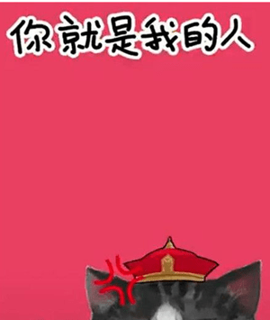 抖音我們喵星人就是辣么拽是什么歌 我們喵星人就是辣么拽表情包匯總