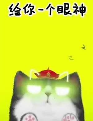 抖音我們喵星人就是辣么拽是什么歌 我們喵星人就是辣么拽表情包匯總