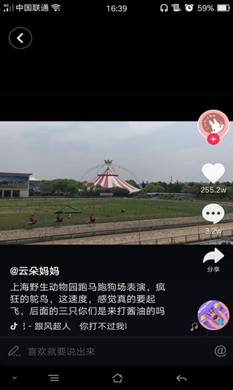 抖音騎鴕鳥賽跑背景音樂是什么?抖音哈哈哈哈你打不過我吧歌曲介紹