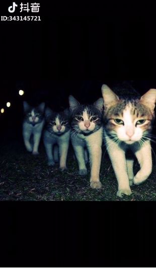 抖音運動嗨曲2阿杰歌曲叫什么？抖音運動嗨曲2阿杰歌曲分享