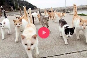 抖音運動嗨曲2阿杰歌曲叫什么？抖音運動嗨曲2阿杰歌曲分享