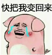 抖音傲嬌生氣變豬表情包大全分享