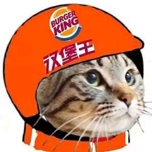 抖音里面的社會(huì)人頭像大全