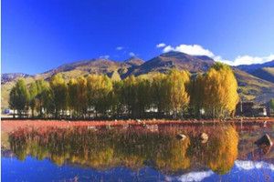 抖音稻城音樂是什么？抖音稻城配音bgm分享