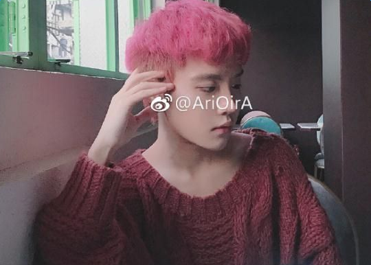 抖音95后小仙男是什么梗_95后小仙男是誰個人資料