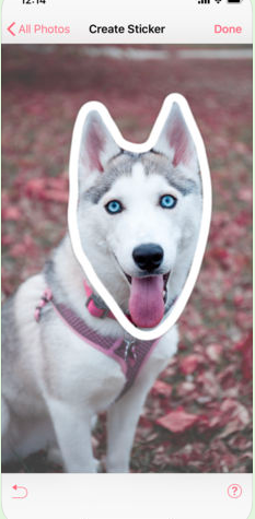 抖音摳圖人頭的軟件是什么？摳圖軟件介紹