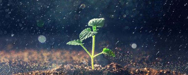 暴雨的說說發朋友圈 下暴雨怎么發朋友圈